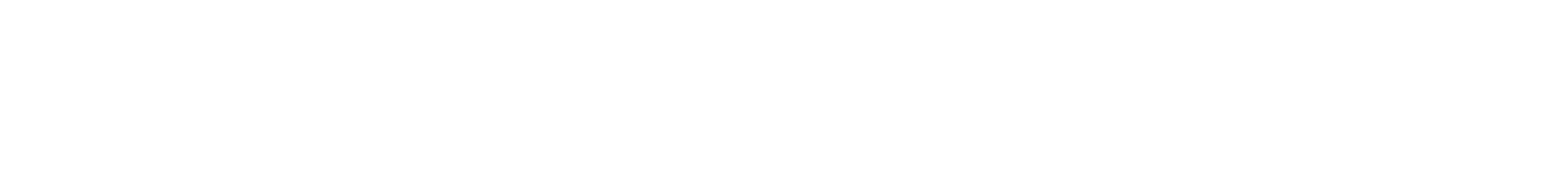 vpn informatie logo wit